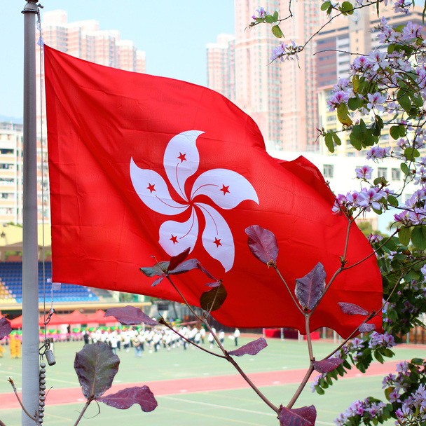 Bandera regional de Hong Kong
 - Foto, imagen