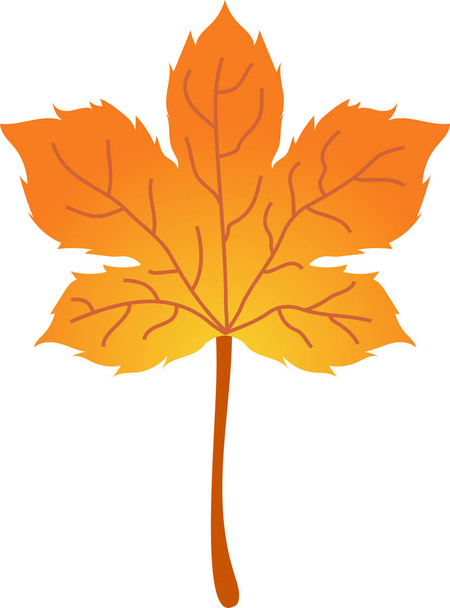 Realistické podzimní listí - Vektor, obrázek