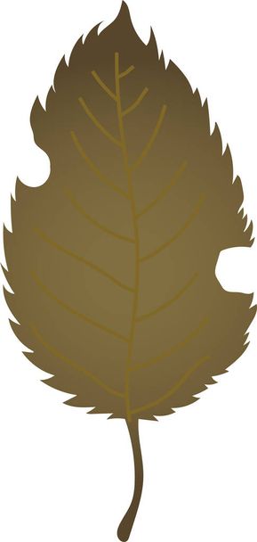 Realistic Chic Autumn leaves - Vector, Image