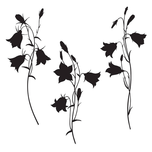 bluebell flowers vector illustration  - Вектор,изображение