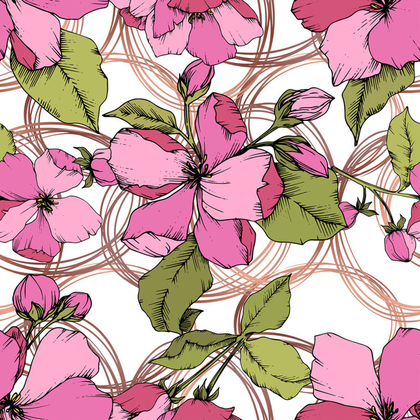 Vector Pink Apple blossom floral botanical flower. Engraved ink art. Seamless background pattern. - Vektör, Görsel