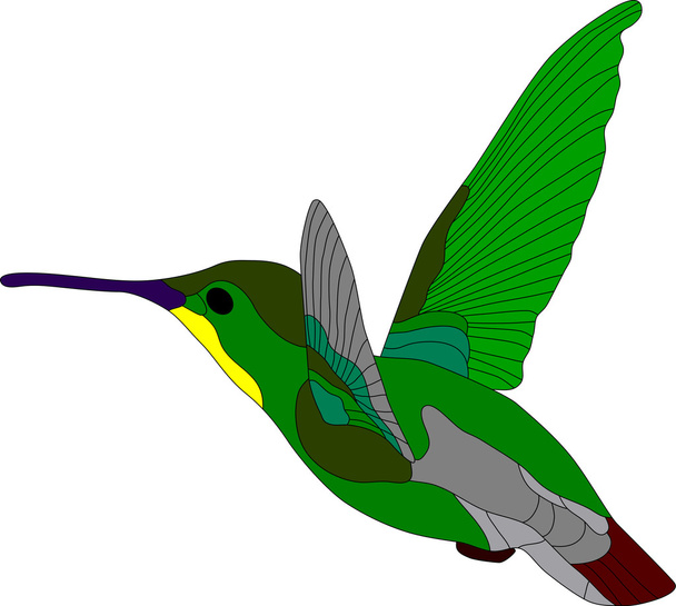 Hummingbird - Wektor, obraz
