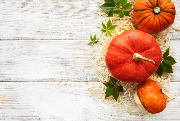 Colorful autumn pumpkins - Фото, изображение