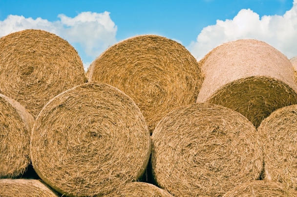 Straw stack for animal feed - Photo, Image