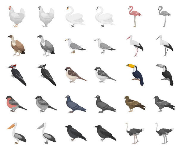 Tipi di cartoni animati uccelli, icone monocromatiche in collezione set per il design. Casa e uccello selvatico vettore simbolo stock web illustrazione
. - Vettoriali, immagini