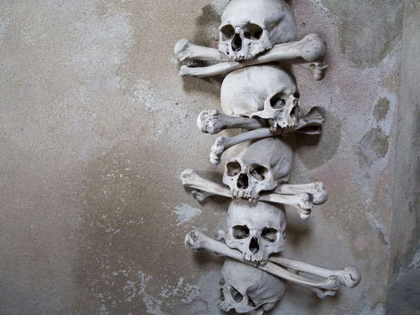 Crâne humain et os croisés
 - Photo, image