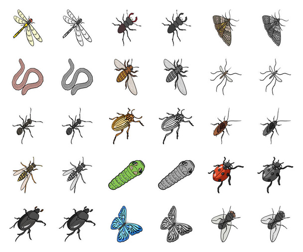 Different kinds of insects cartoon,monochrom icons in set collection for design. Insect arthropod vector isometric symbol stock web illustration. - Διάνυσμα, εικόνα