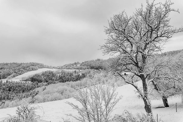 Rural idyllic bright monochrome winter landscape countryside scene over a snow field with hill, sky, clouds, trees, amd forest in high key black and white - Photo, Image