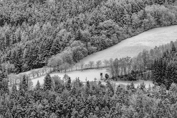 Výtvarného umění monochromatický idylické zimní krajina krajiny obraz rozhledna na zasněženou plání, obklopené lesem sníh na stromech v malbu grafického stylu - Fotografie, Obrázek