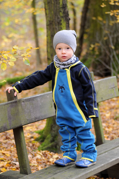 Ritratto di un bambino felice in piedi su una panchina
 - Foto, immagini