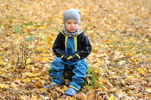 Porträt eines glücklichen kleinen Jungen auf Baumstumpf sitzend - Foto, Bild
