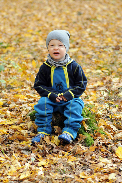 Portrét šťastný chlapeček sedí na pařezu - Fotografie, Obrázek