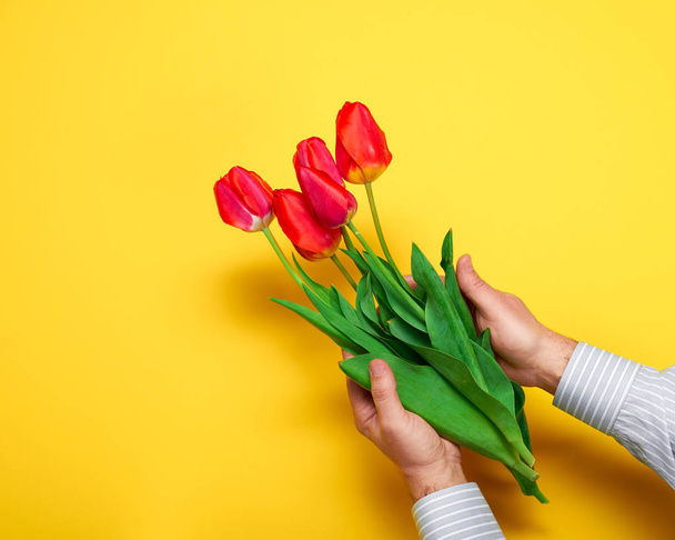 the man holds in hand red flowers bunch, yellow background with blank space - love and holiday concept - Fotó, kép