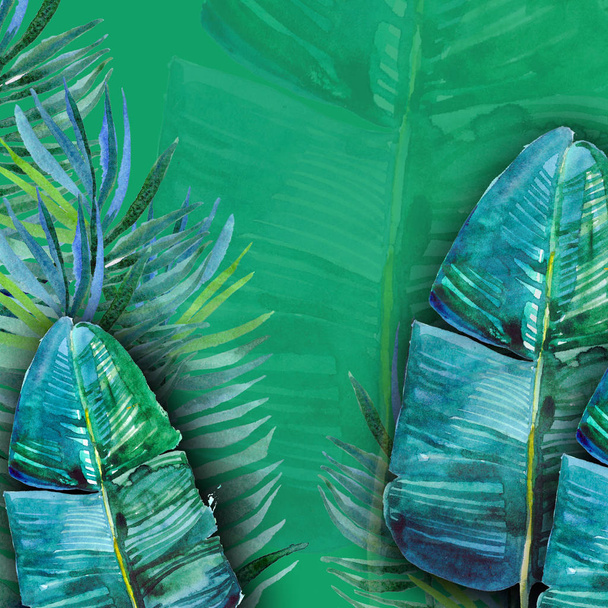 green tropical leaves watercolor background  - Photo, Image