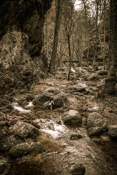Fine Art Fantasie low key monochrome Vintage Outdoor-Naturbild eines kleinen Flusses / Baches in einem Winterwald mit Felsen, Unterholz, Laub, Brücke, Bäumen, Holz, im surrealistischen Vintage-Malstil - Foto, Bild