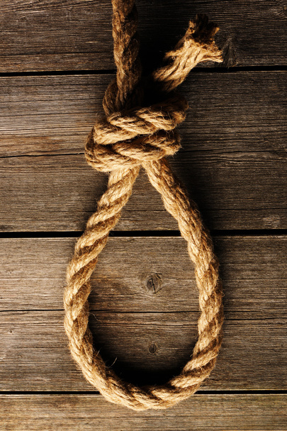 Rope noose with knot - Φωτογραφία, εικόνα