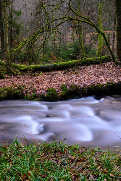 Couleur extérieure longue exposition d'un conte de fées d'hiver fantaisie scène de forêt avec un ruisseau / petit ruisseau en face d'un arbre moussue tombé sur feuillage dense dans un style de peinture surréaliste
 - Photo, image