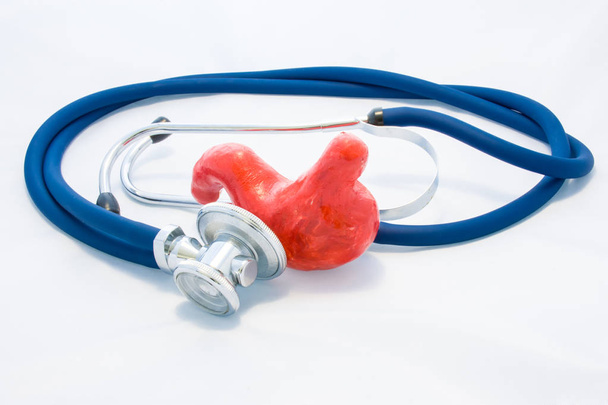 Blauwe stethoscoop omsluit maag vorm op witte achtergrond. Idee van foto-diagnose, preventie en behandeling van ziekten van maag en spijsverteringskanaal, preoperatieve voorbereiding, onderzoek - Foto, afbeelding