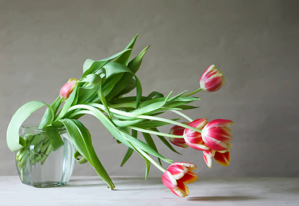 Spring tulip flowers. - Photo, Image
