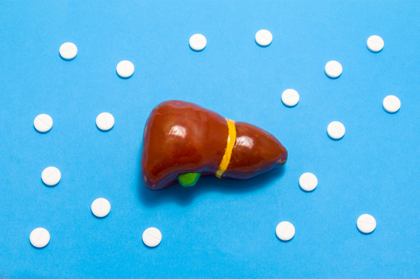 3D анатомическая модель печени находится на синем фоне в окружении белых таблеток в качестве орнамента горошек. Медицинская концепция по фармакологическому лечению заболеваний печени, фармакотерапии химиотерапии
 - Фото, изображение