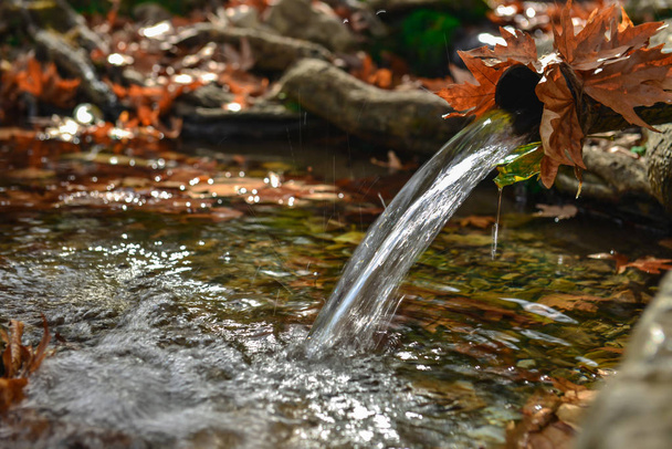 gesundes Trinkwasser aus natürlicher Quelle - Foto, Bild