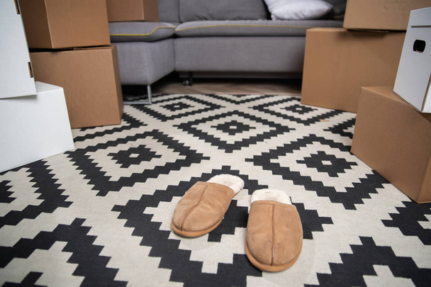 Cardboard boxes, gray sofa, slippers, carpet . - Φωτογραφία, εικόνα