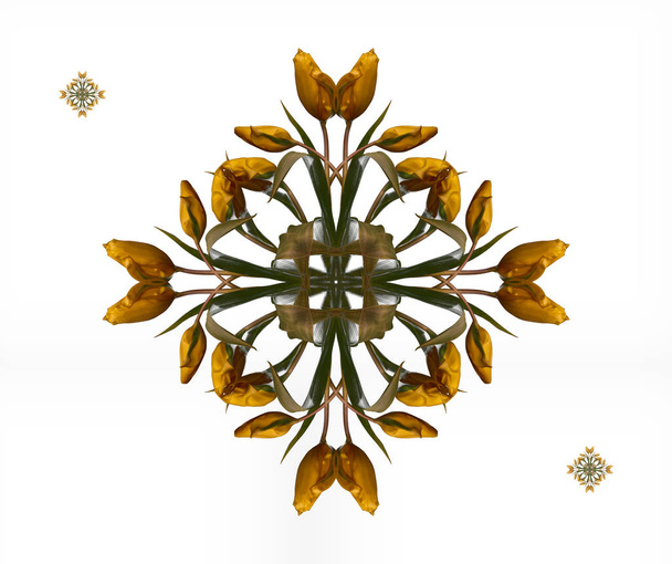 Modello di colore decorativo e simmetrico floreale fine art composto da macro di tulipani verdi gialli su sfondo bianco in stile pittura vintage
 - Foto, immagini