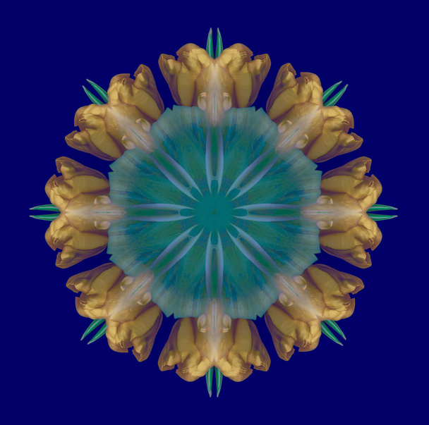 Fine art floral decorative geometrical symmetrical color pattern/ornament/mandala/decor made from macros of golden yellow green tulips on blue background in vintage painting style - Photo, Image