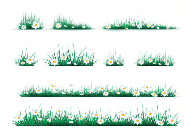 Groen gras op een transparante - Vector, afbeelding