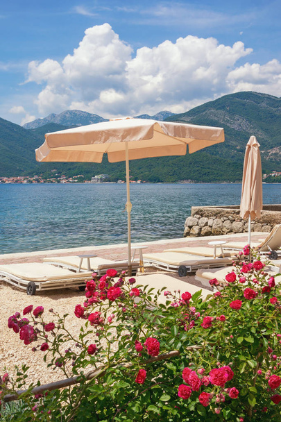 Літній пляжний відпочинок. Чорногорія, Адріатичного моря, перегляд Котор поблизу міста Тіват - Фото, зображення