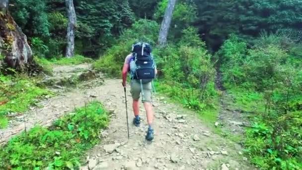 Tourist in the hike - Felvétel, videó
