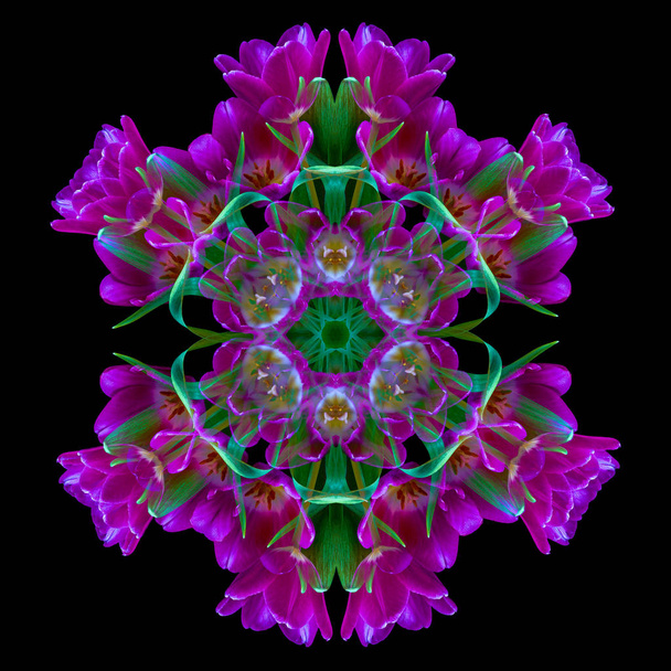 Изобразительное искусство цветочные декоративные и геометрические шаблон цвета / мандала из макросов фиолетовых зеленых тюльпанов на черном фоне в винтажном стиле живописи
 - Фото, изображение