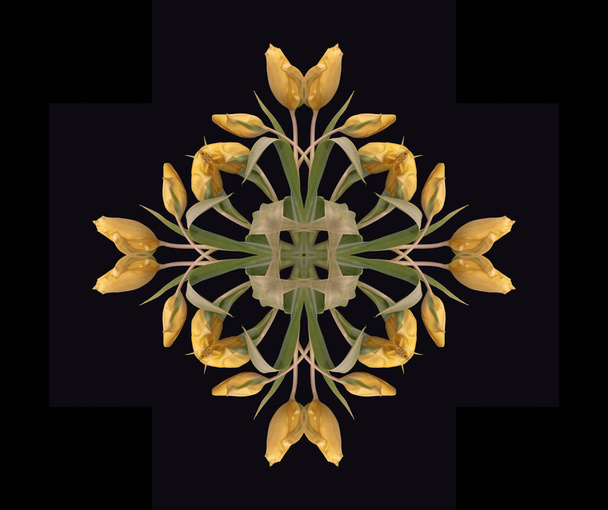 Patrón de color decorativo y simétrico floral de bellas artes hecho de macros de tulipanes verdes amarillos sobre fondo negro en estilo de pintura vintage
 - Foto, Imagen