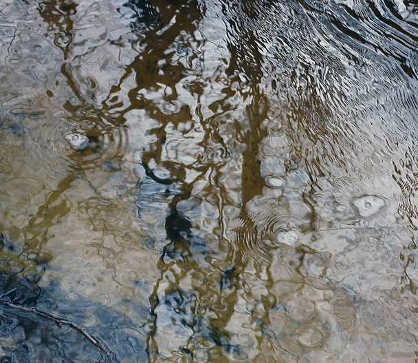 Forest creek transparent water in spring day - Fotoğraf, Görsel
