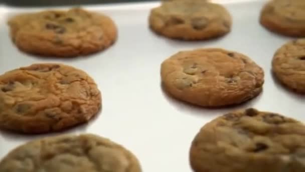 スパチュラは、冷却ラックに1つのクッキーを削除するように、チョコレートチップクッキーのトレイ - 映像、動画