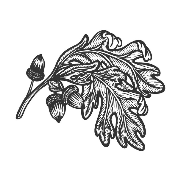 Oak branch with acorns sketch engraving vector illustration. Scratch board style imitation. Hand drawn image. - Vetor, Imagem