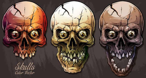 Detailed graphic colorful human skulls set - Vector, Image
