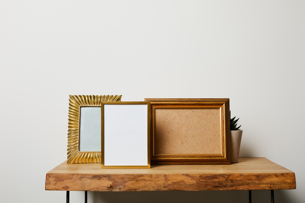 frames near plant on wooden table at home - Photo, Image