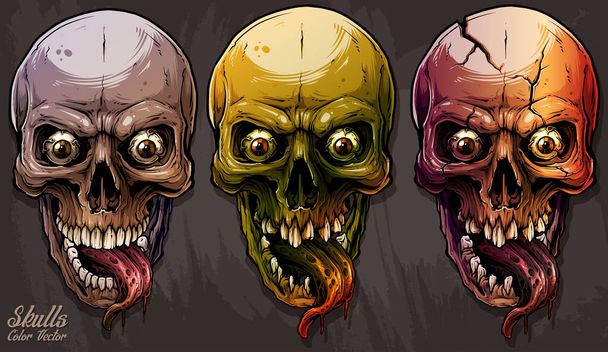 Детальный графический красочный набор черепов человека
 - Вектор,изображение