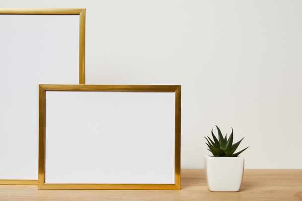 blank frames near cactus on wooden table at home - Foto, afbeelding