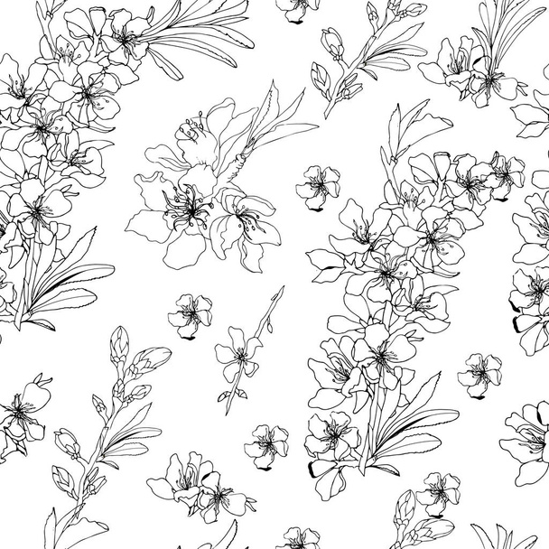 Set of vector outline, contour flowers and almond branches drawn with ink on a white background - Vecteur, image