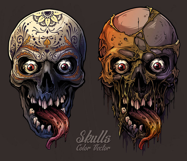 Conjunto detalhado de crânios humanos coloridos gráficos
 - Vetor, Imagem