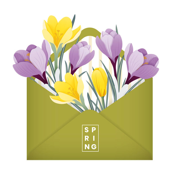 Весняна векторна ілюстрація. Конверт, наповнений квітами кроку (шафраном) жовтий і фіолетовий
. - Вектор, зображення