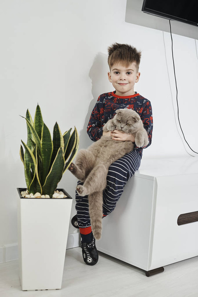 adorable little boy holding british shorthair cat at home - Valokuva, kuva