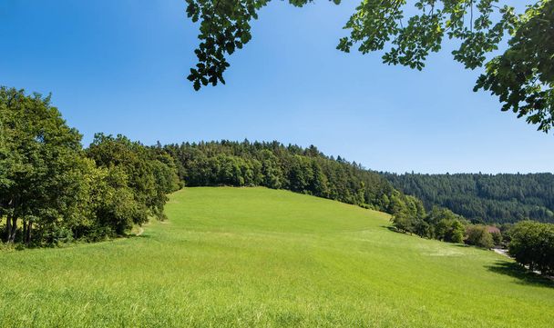 Color outdoor idyllic summer landscape with a road,farm,field,meadow,trees and forest under a clear blue bright sunny sky - Photo, Image