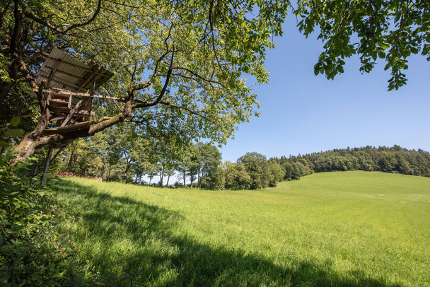 Color outdoor idyllic summer landscape with a lookout ,field,meadow,trees and forest under a clear blue bright sunny sky framed by tree branches - Photo, Image