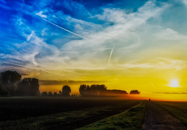 Mglisty jesienny złoty niebieski chwalebne kolor wschód słońca nad wiejski krajobraz z drzew i ścieżki na horyzoncie i błękitne niebo z chmurami w intensywne kolorowy styl malowania, symboliczne naprzód - Zdjęcie, obraz