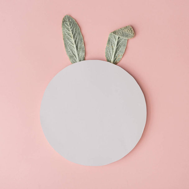 Buona Pasqua concetto minimale, orecchie di coniglio coniglio fatto di foglie verdi naturali su sfondo rosa pastello con cerchio vuoto bianco
  - Foto, immagini