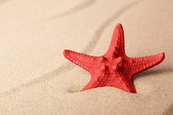 red starfish on sandy beach. One single seastar on rippled sand of tropical shore.  - Foto, Imagen