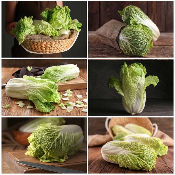 Set of fresh Chinese cabbage  - Photo, Image